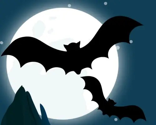 bats and a full moon, links to more information