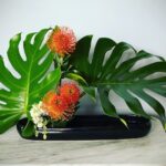 Ikebana Flower Arranging