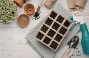 garden soil in seedling trays, gardening handtools, seeds, clay pots, seedlings