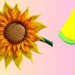 sunflower & popsicle made of foam dough
